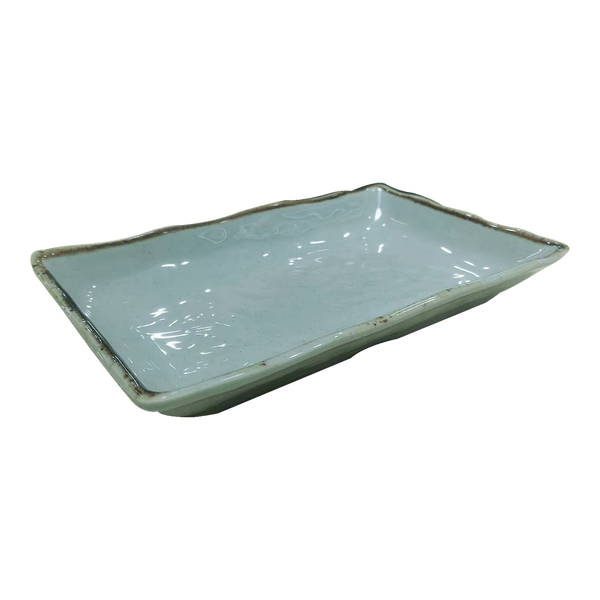 7" Rectangular Dish — TS-LD-7338A