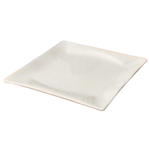 10" Square Plate / Pack of 40