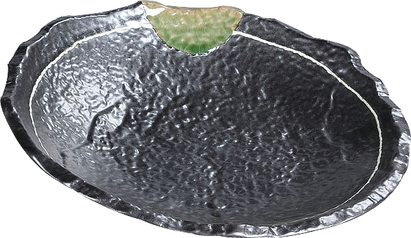 10" Round Dish / Pack of 20