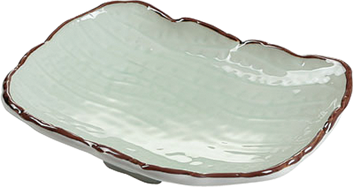 9.5" Rectangular Plate / Pack of 20