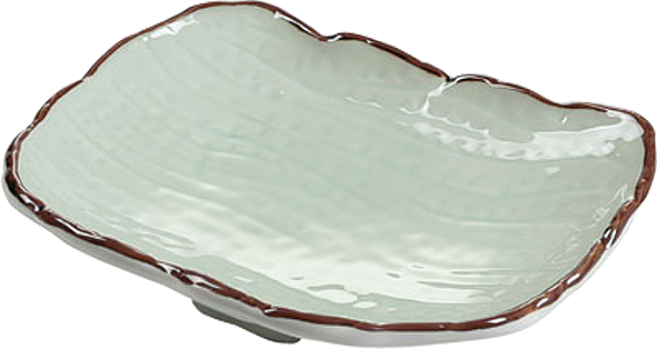 9.5" Rectangular Plate / Pack of 20