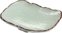 9.5" Rectangular Plate / Pack of 20