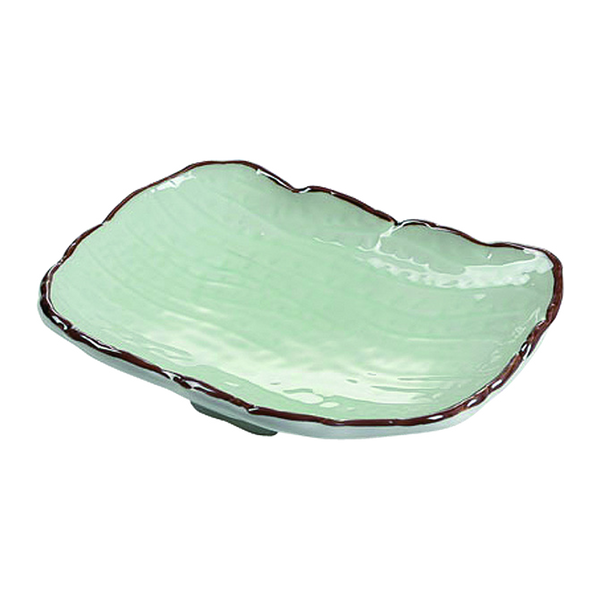 9.5" Rectangular Dish — DY-G-10015040